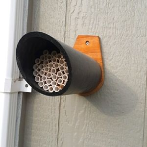 Orchard Mason Bee House Insect Home Nesting Box